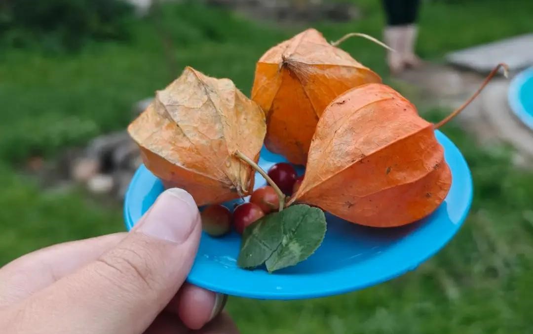 Жареный рис